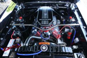 Image 48/50 of Ford Mustang 302 (1969)