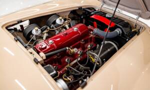 Immagine 5/50 di Austin-Healey 100/4 (BN1) (1954)