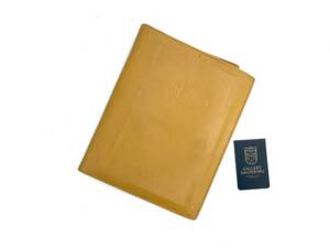 Image 9/50 de Alfa Romeo SZ (1991)