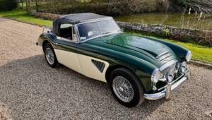 Image 30/62 de Austin-Healey 3000 Mk III (BJ8) (1964)