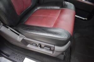 Bild 48/78 von Ford F-150 &quot;Harley-Davidson&quot; (2010)