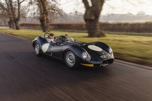Image 14/34 of Lister Knobbly (2021)
