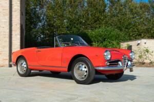 Immagine 4/50 di Alfa Romeo Giulia 1600 Spider (1964)