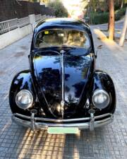 Image 3/14 de Volkswagen Käfer 1200 Export "Ovali" (1954)