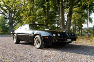 Afbeelding 4/69 van Pontiac Firebird TransAm (1979)
