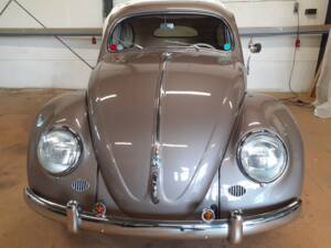 Afbeelding 5/79 van Volkswagen Käfer 1200 Export &quot;Ovali&quot; (1954)