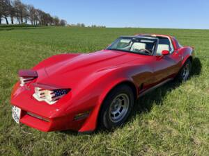 Image 15/20 of Chevrolet Corvette Sting Ray (1980)
