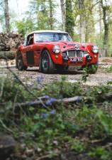 Imagen 26/28 de Austin-Healey 3000 Mk I (BT7) (1960)