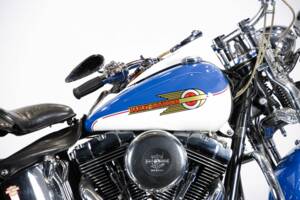 Immagine 36/50 di Harley-Davidson FXSTS Softail Springer (2000)