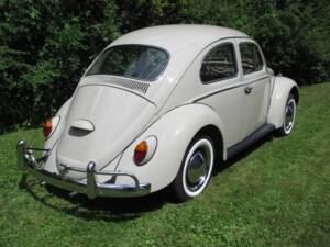 Image 21/39 of Volkswagen Maggiolino 1200 Export "Dickholmer" (1964)