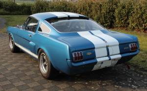 Bild 3/14 von Ford Shelby GT 350 (1966)