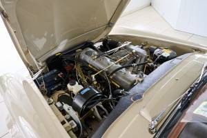 Image 23/25 of Mercedes-Benz 230 SL (1966)