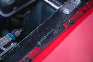 Bild 32/50 von Ford Shelby GT 350 (1966)