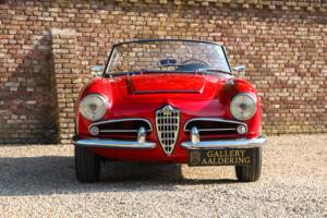 Image 38/50 of Alfa Romeo Giulia 1600 Spider (1963)