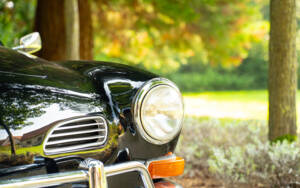 Image 13/65 de Volkswagen Karmann Ghia 1600 (1971)