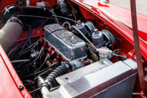 Image 39/43 of MG MGA 1600 (1960)