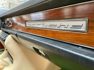 Image 26/43 de FIAT Dino 2400 Coupe (1971)