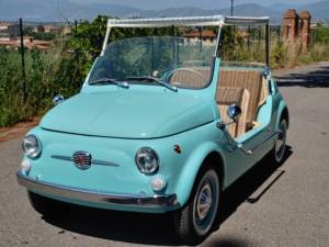 Afbeelding 38/50 van FIAT Ghia 500 Jolly (1969)