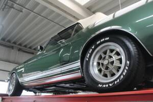 Immagine 15/50 di Ford Shelby GT 350 (1968)