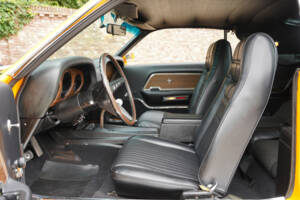 Image 35/50 of Ford Mustang Boss 302 (1970)