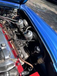Image 5/28 de Austin-Healey 3000 Mk III (BJ8) (1964)