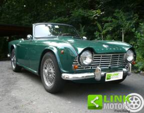 Bild 1/10 von Triumph TR 4 (1962)
