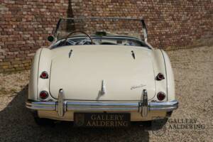 Immagine 6/50 di Austin-Healey 100/4 (BN1) (1954)