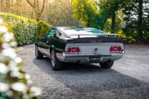 Immagine 20/48 di Ford Mustang Boss 351 (1970)