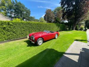 Bild 26/150 von Austin-Healey 100/4 (BN1) (1955)