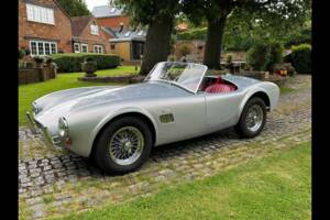 Bild 3/24 von AC Cobra 289 (2001)