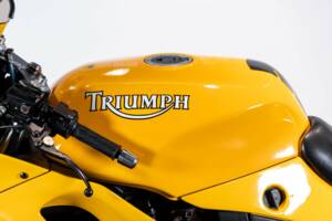 Bild 36/50 von Triumph DUMMY (1995)