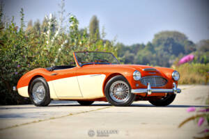 Bild 8/40 von Austin-Healey 3000 Mk I (BN7) (1959)