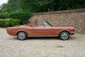 Bild 14/50 von Ford Mustang 289 (1966)