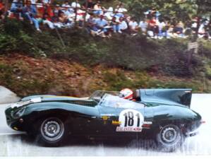 Immagine 35/87 di Jaguar D-Type (1957)