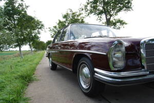 Image 6/58 of Mercedes-Benz 280 SE (1968)