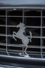 Bild 11/50 von Ferrari 250 GT/E (1963)