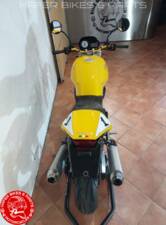 Image 14/31 de Ducati Monster 900 (1996)