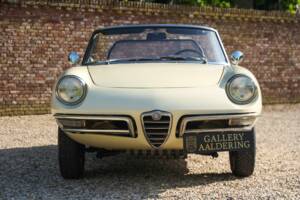 Image 26/50 of Alfa Romeo 1600 Duetto (1967)