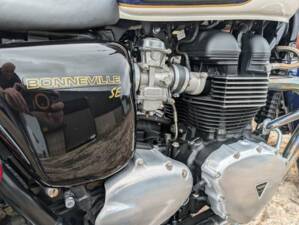 Bild 12/24 von Triumph DUMMY (2009)