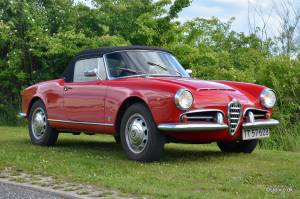 Bild 21/21 von Alfa Romeo Giulia 1600 Spider (1964)