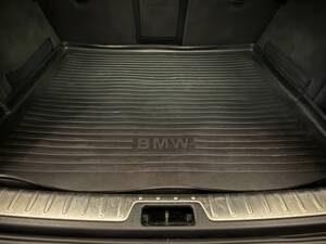 Image 15/20 of BMW X6 M (2010)