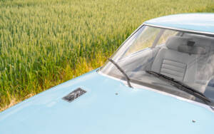 Bild 17/59 von Citroën SM (1971)