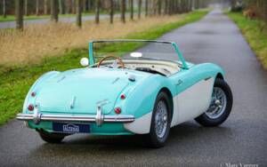 Immagine 44/48 di Austin-Healey 3000 Mk I (BN7) (1960)