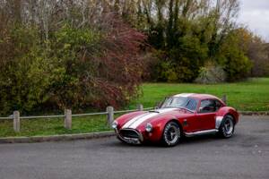 Afbeelding 23/50 van AC Cobra 289 (2000)