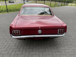 Bild 6/47 von Ford Shelby GT 350 (1966)
