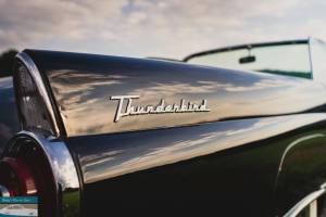 Imagen 19/29 de Ford Thunderbird (1955)