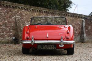 Image 6/50 de Austin-Healey 100/6 (BN4) (1959)