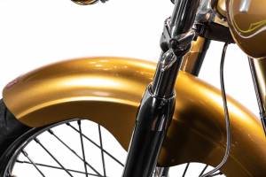 Bild 9/38 von Harley-Davidson DUMMY (2009)