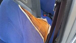 Image 11/23 de Volvo 66 (1980)