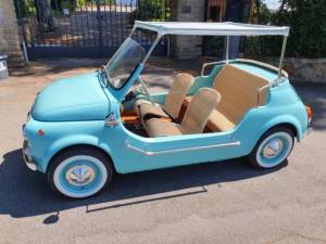 Afbeelding 6/50 van FIAT Ghia 500 Jolly (1969)